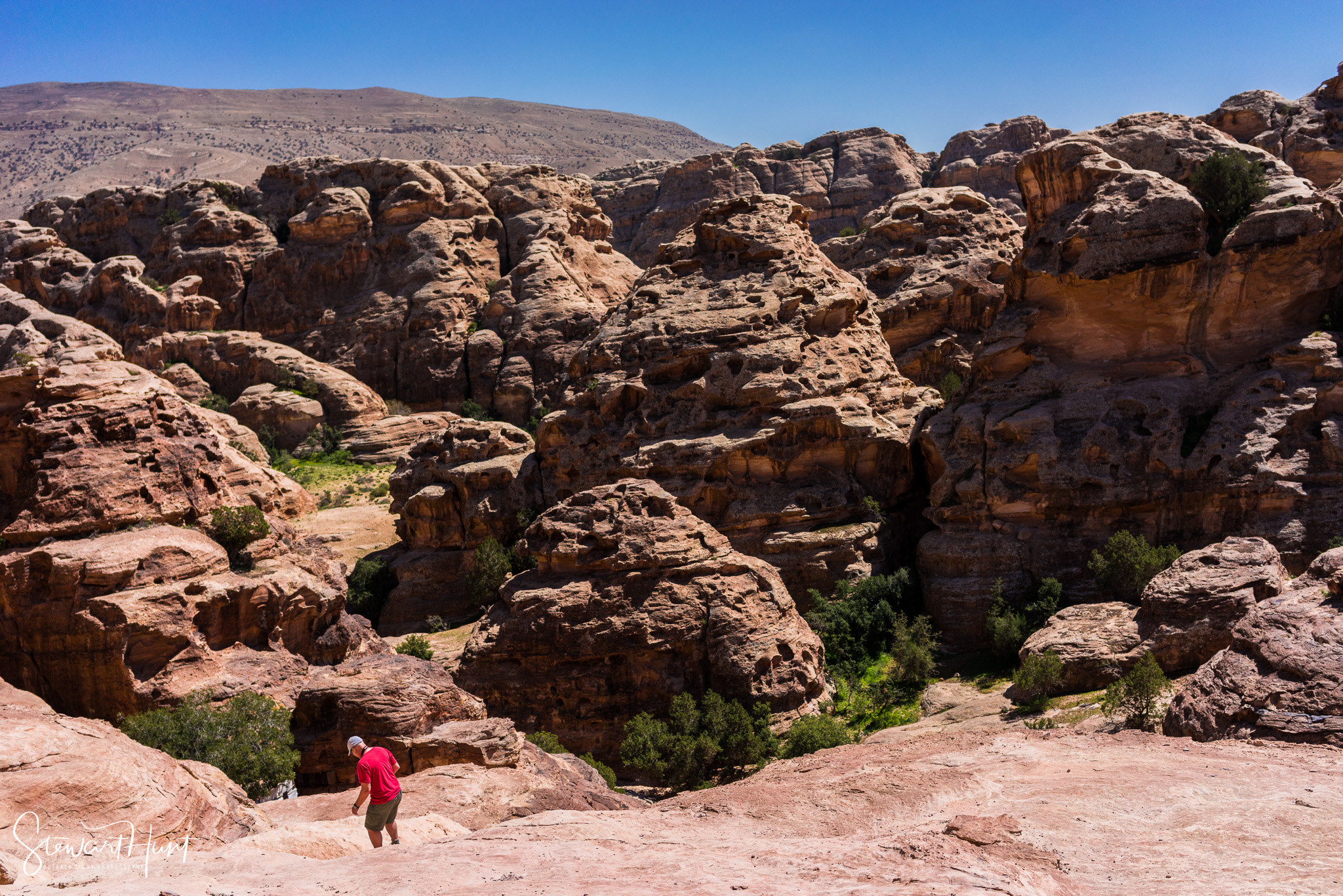 Jordan 2014 02102