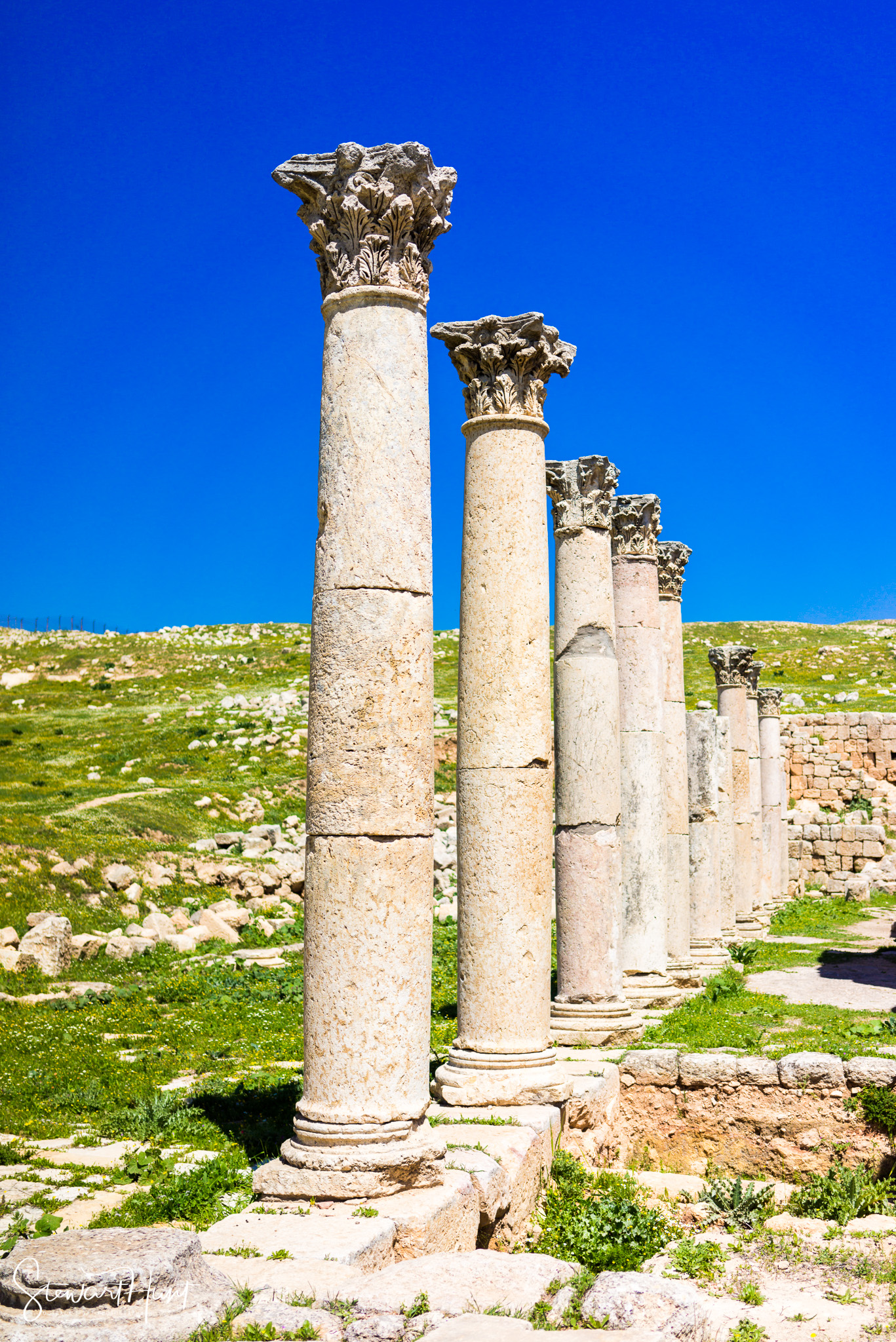 Jordan 2014 02939