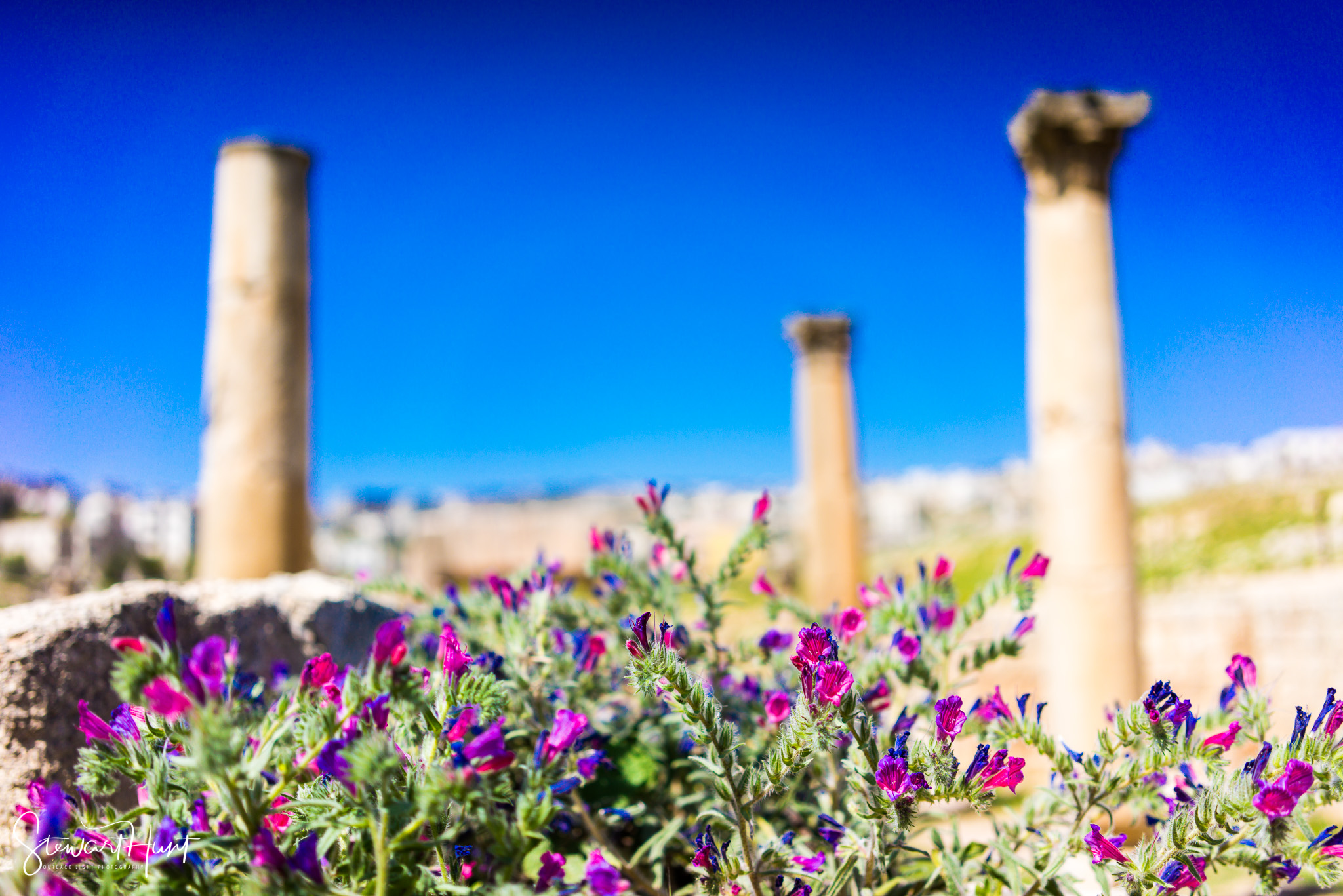 Jordan 2014 02952