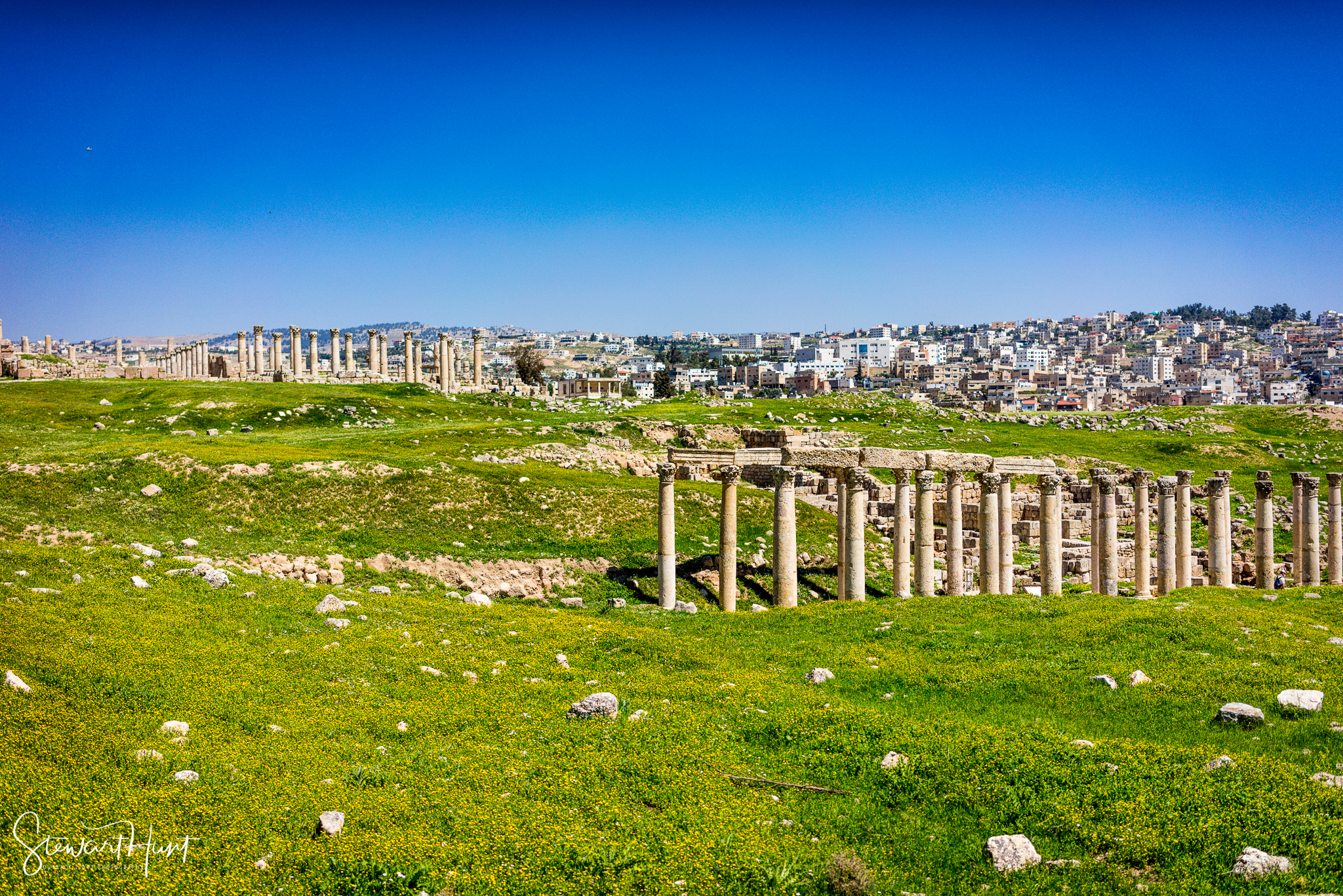 Jordan 2014 02970