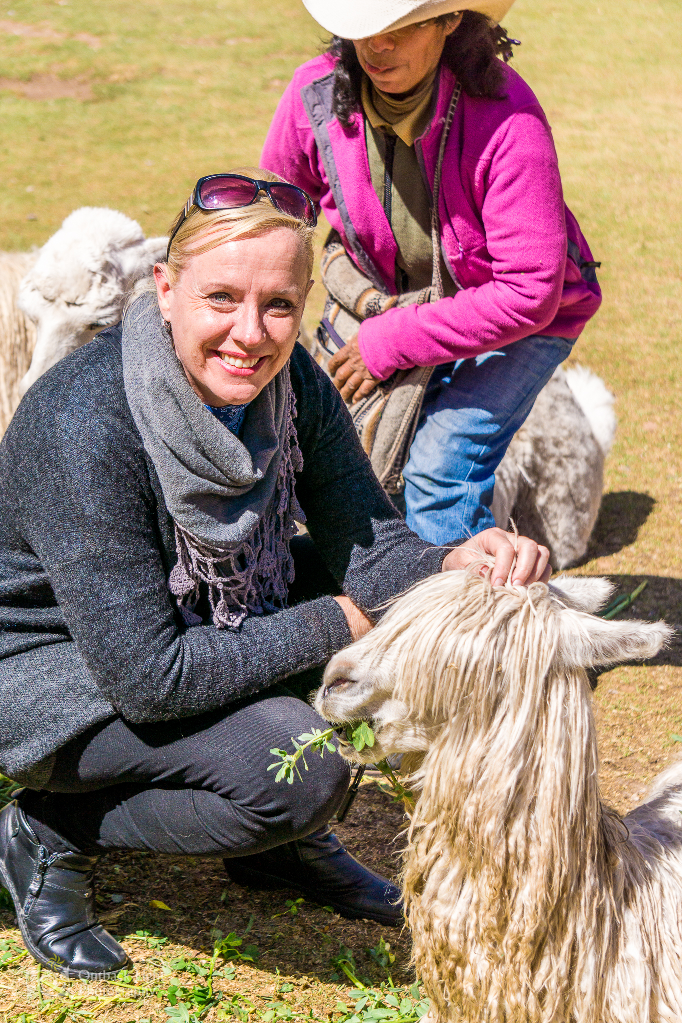 Peru 2016 A6000 6546