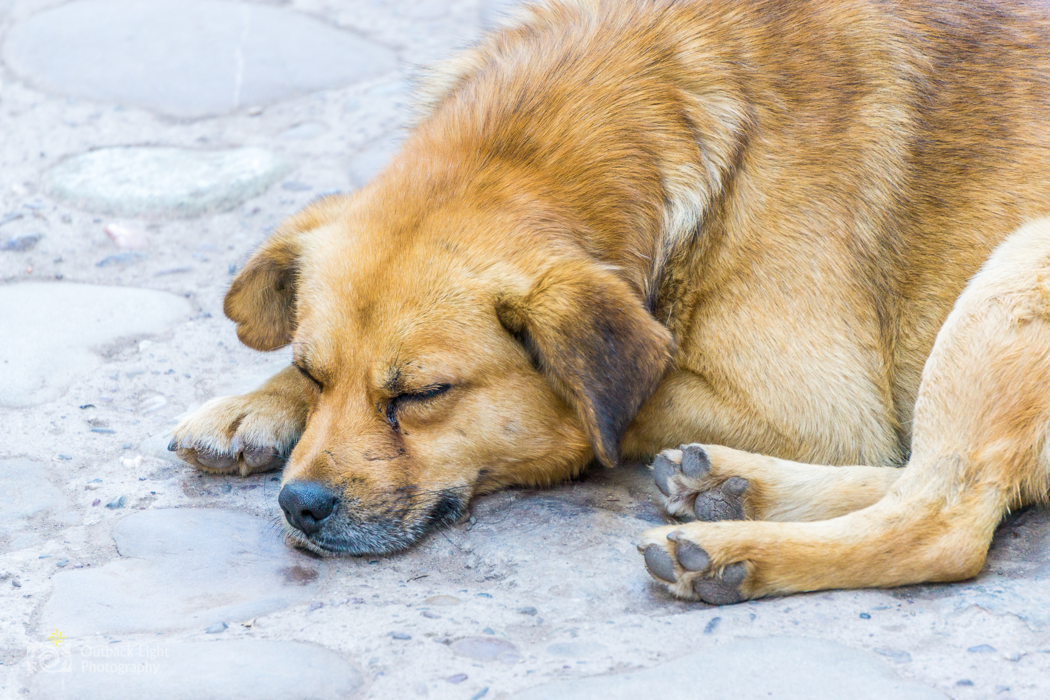 Peru 2016 A6000 6575