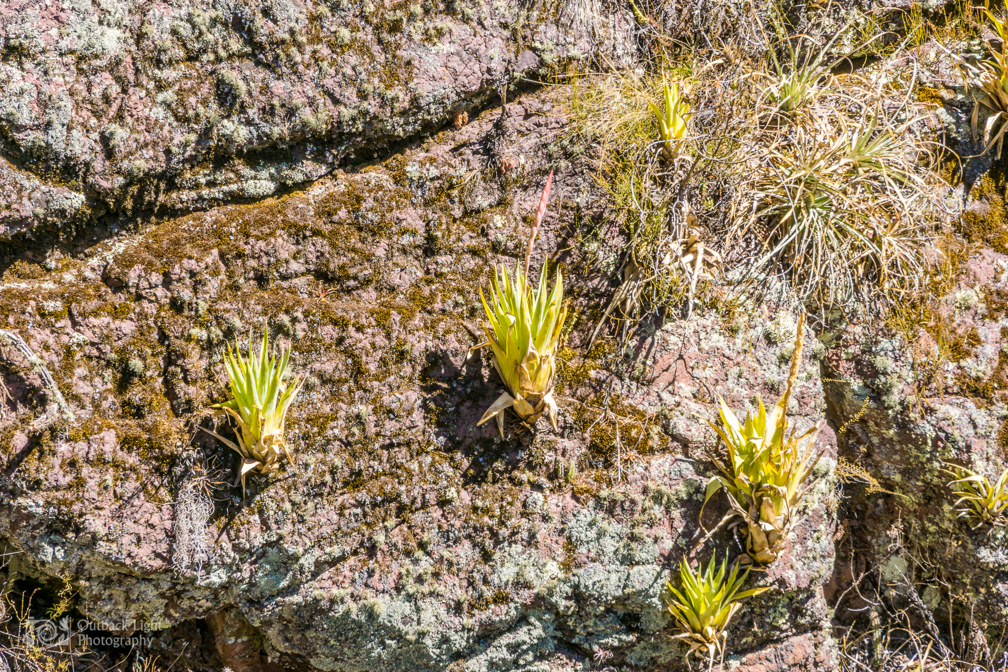 Peru 2016 A6000 6680