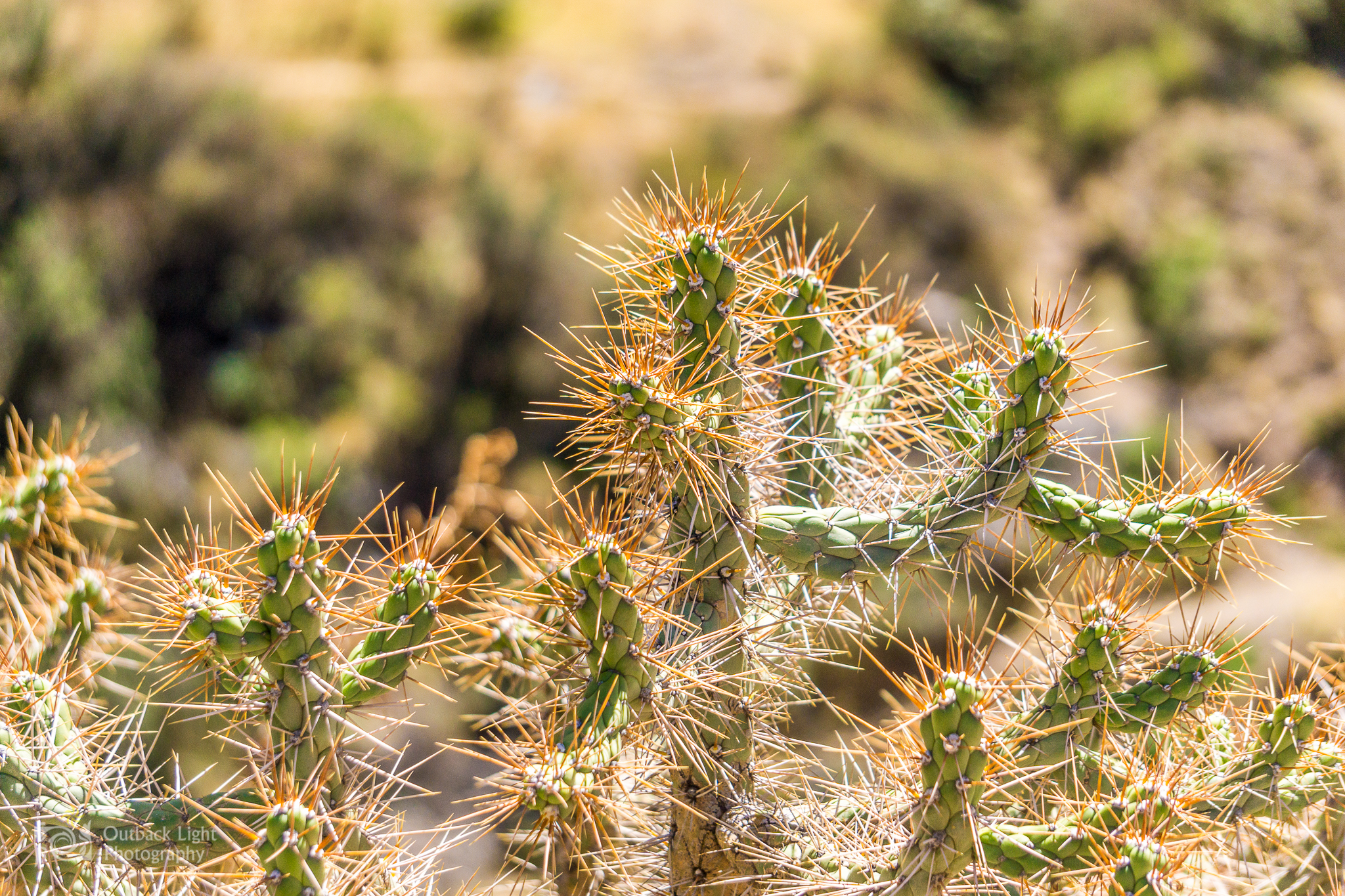 Peru 2016 A6000 6697