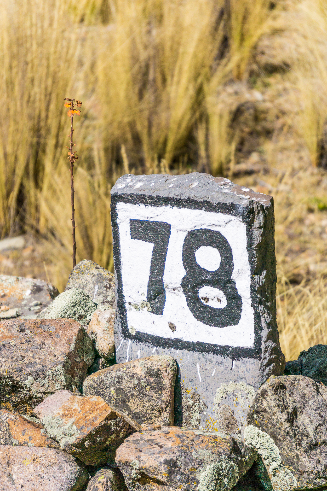 Peru 2016 A6000 7073