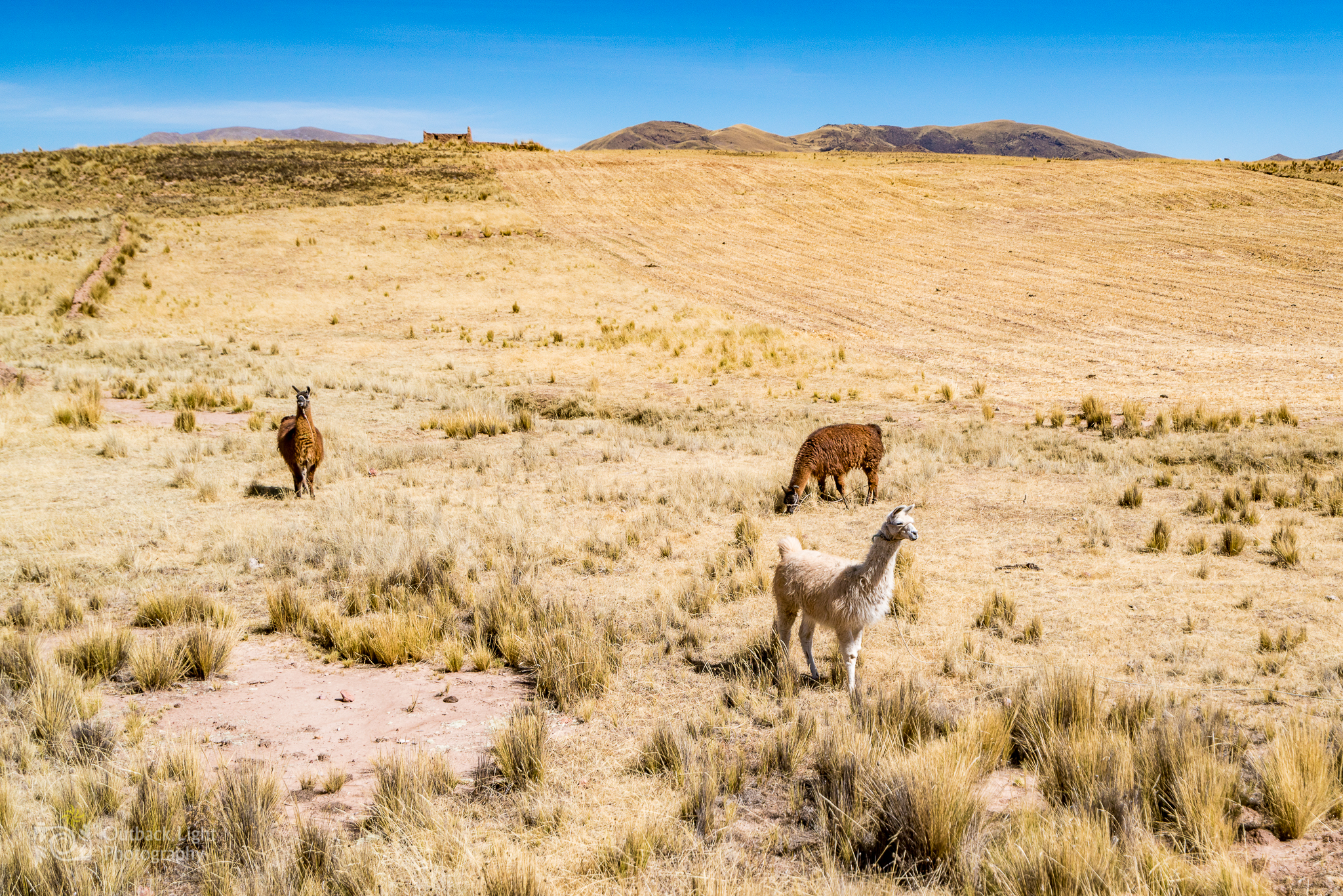 Peru 2016 A7RII 4918