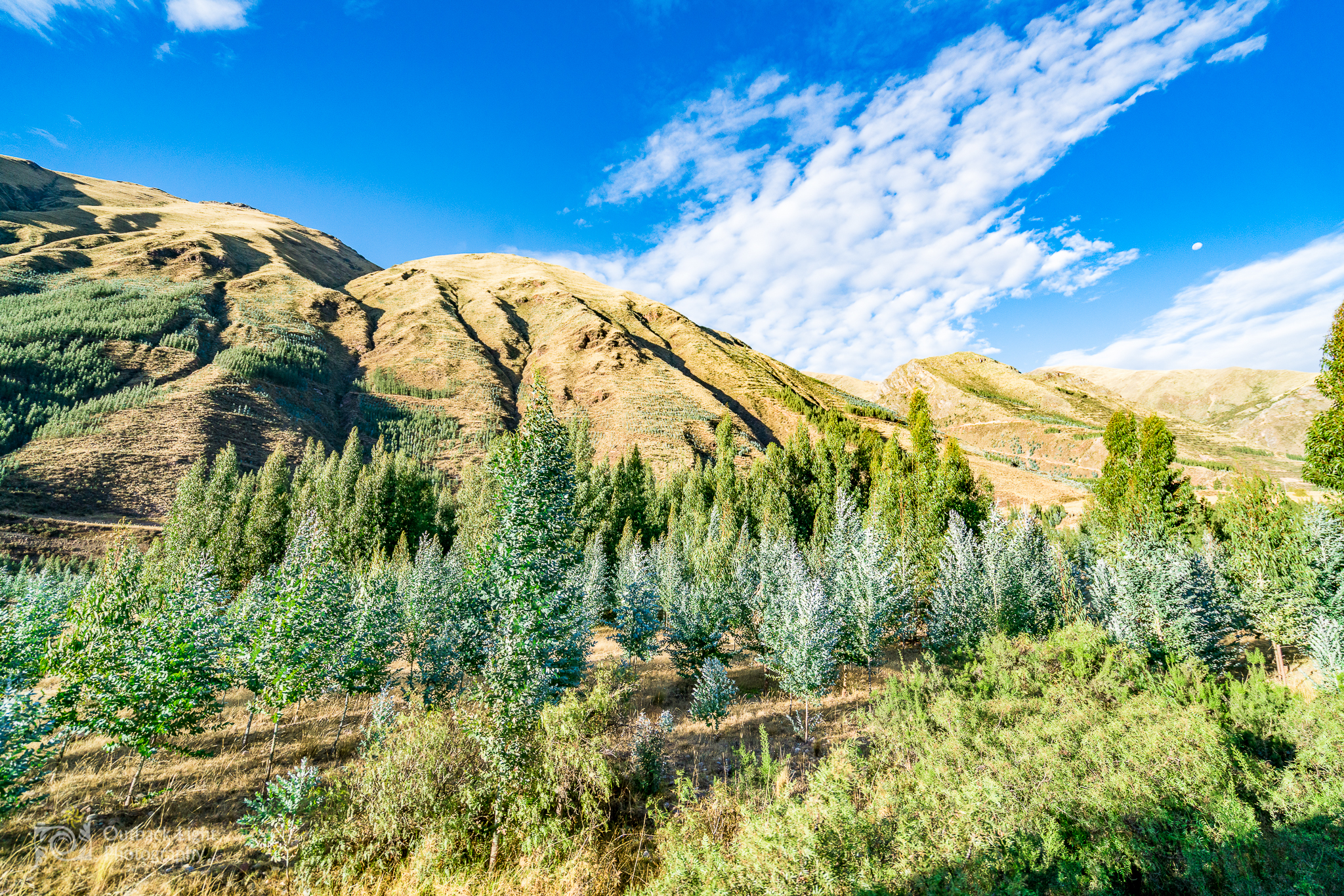 Peru 2016 A7RII 5046